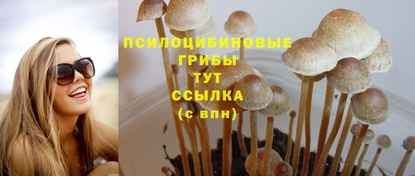 амфетамин Богородск